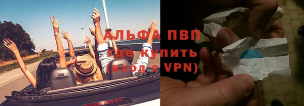 крисы Алексин