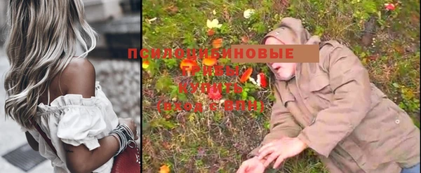 прущие грибы Алексеевка