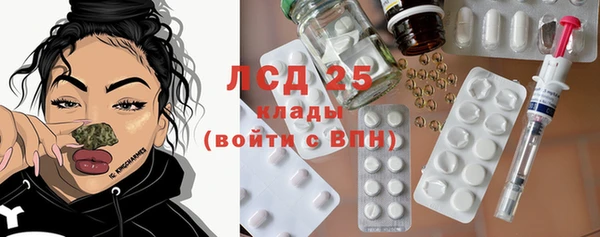 прущие грибы Алексеевка