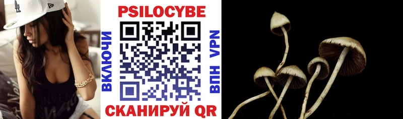 Псилоцибиновые грибы GOLDEN TEACHER hydra зеркало Бабушкин продажа наркотиков